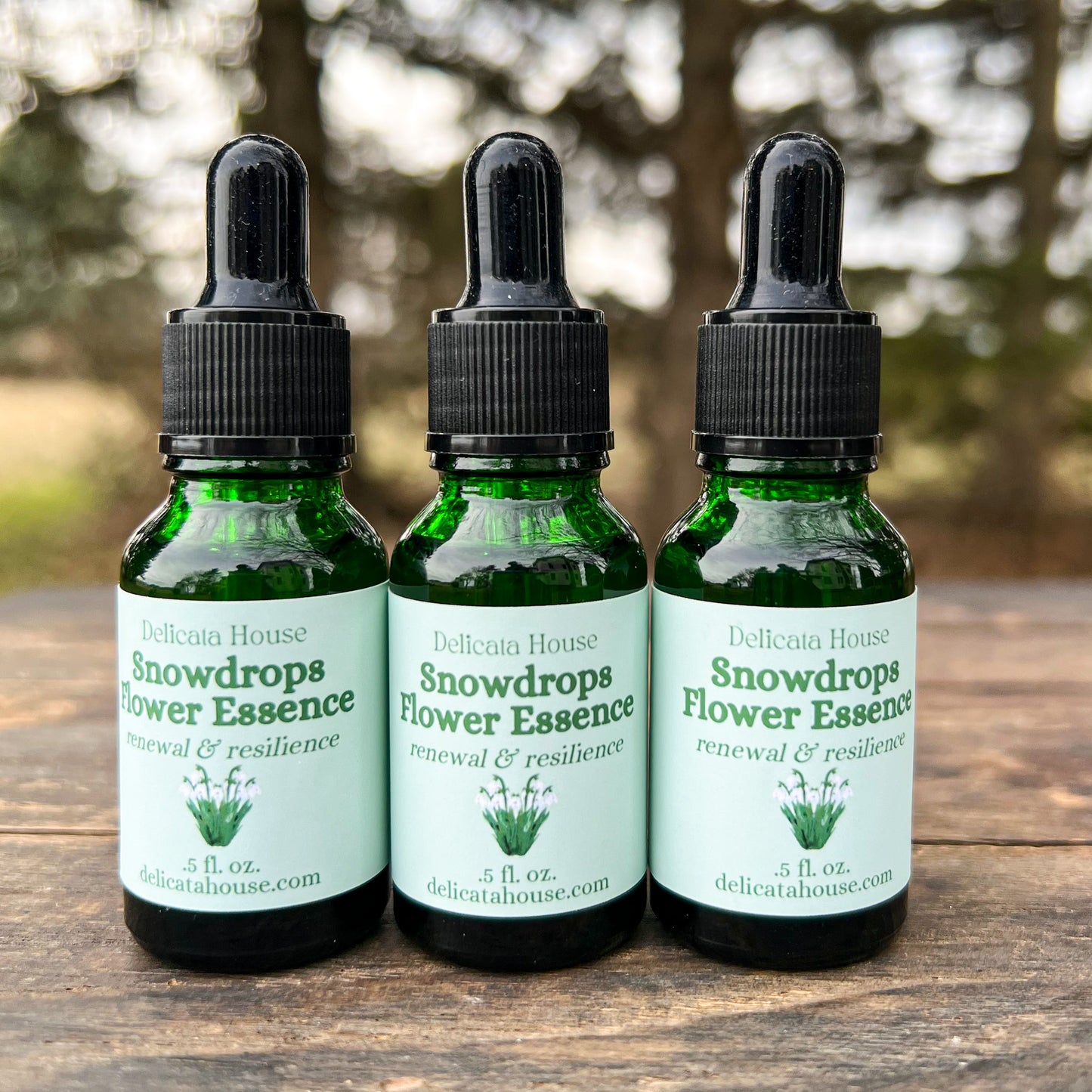 Snowdrops Flower Essence - Snowdrops Flower Remedy - Flower Medicine Gift