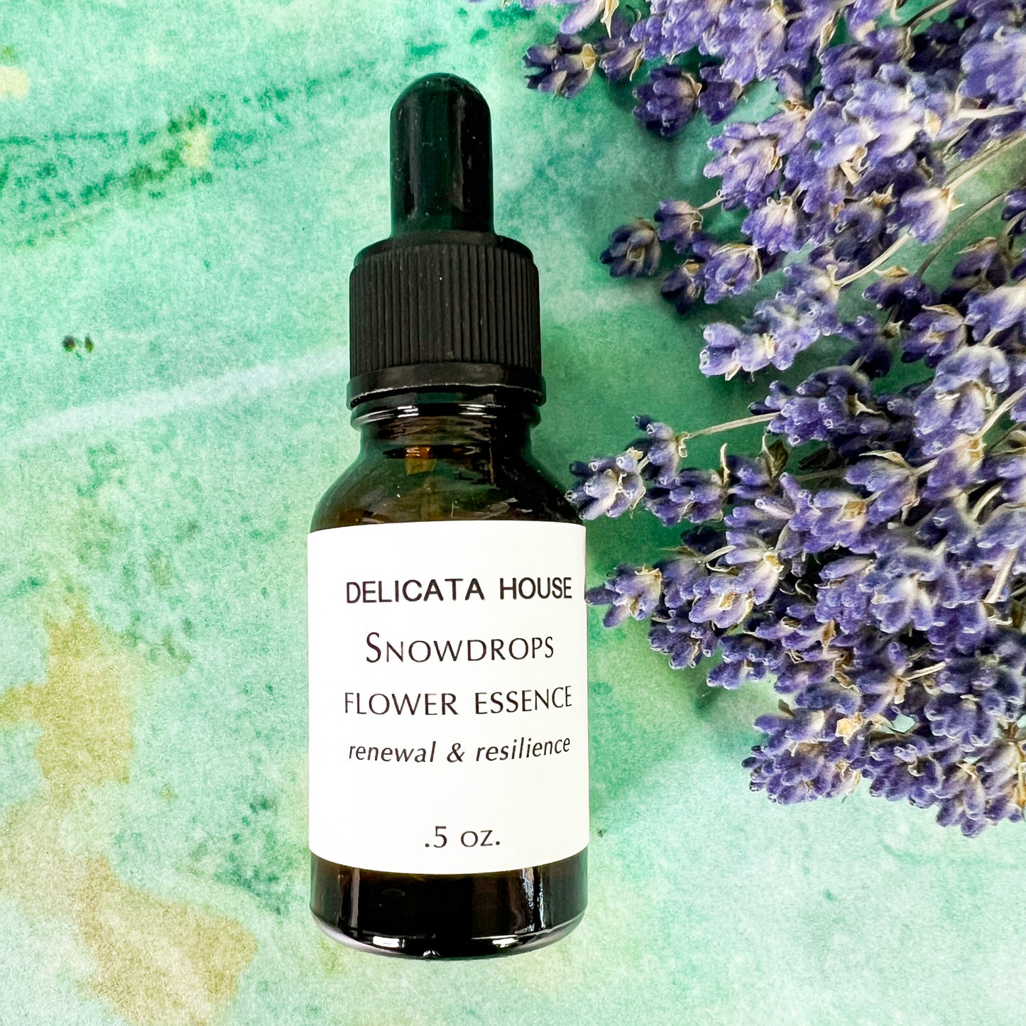 Snowdrops Flower Essence - Snowdrops Flower Remedy - Flower Medicine Gift