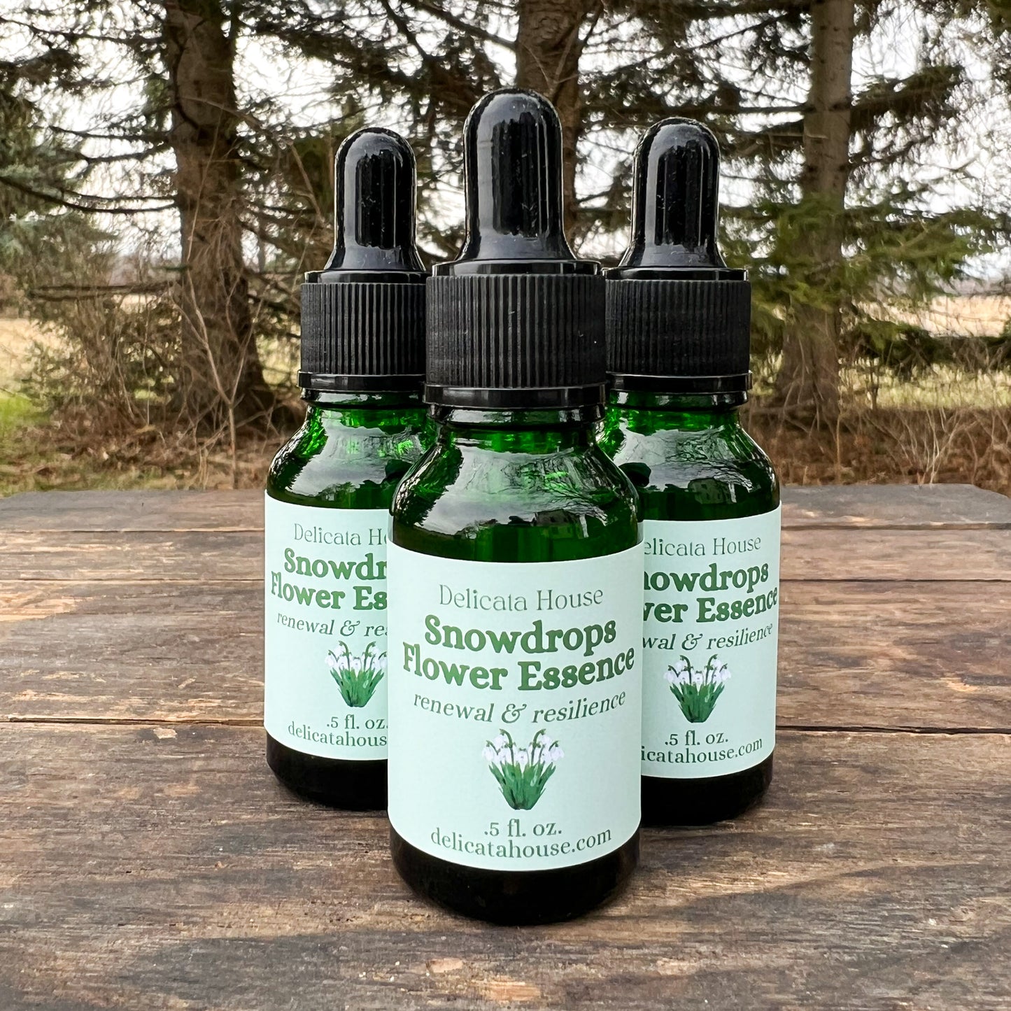 Snowdrops Flower Essence - Snowdrops Flower Remedy - Flower Medicine Gift