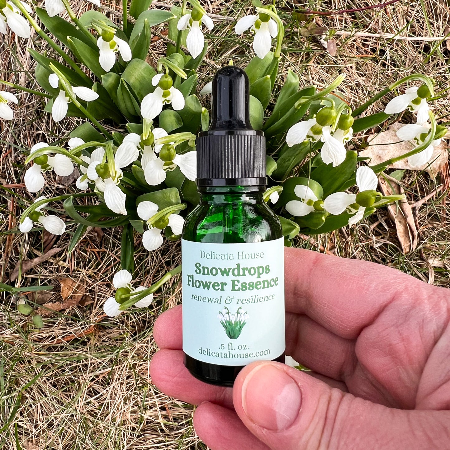 Snowdrops Flower Essence - Snowdrops Flower Remedy - Flower Medicine Gift