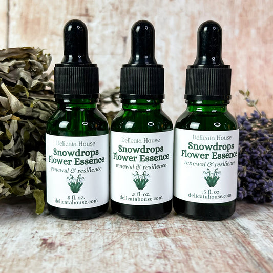 Snowdrops Flower Essence - Imbolc - Brigid's Day - Snowdrops Flower Remedy - Flower Medicine Gift