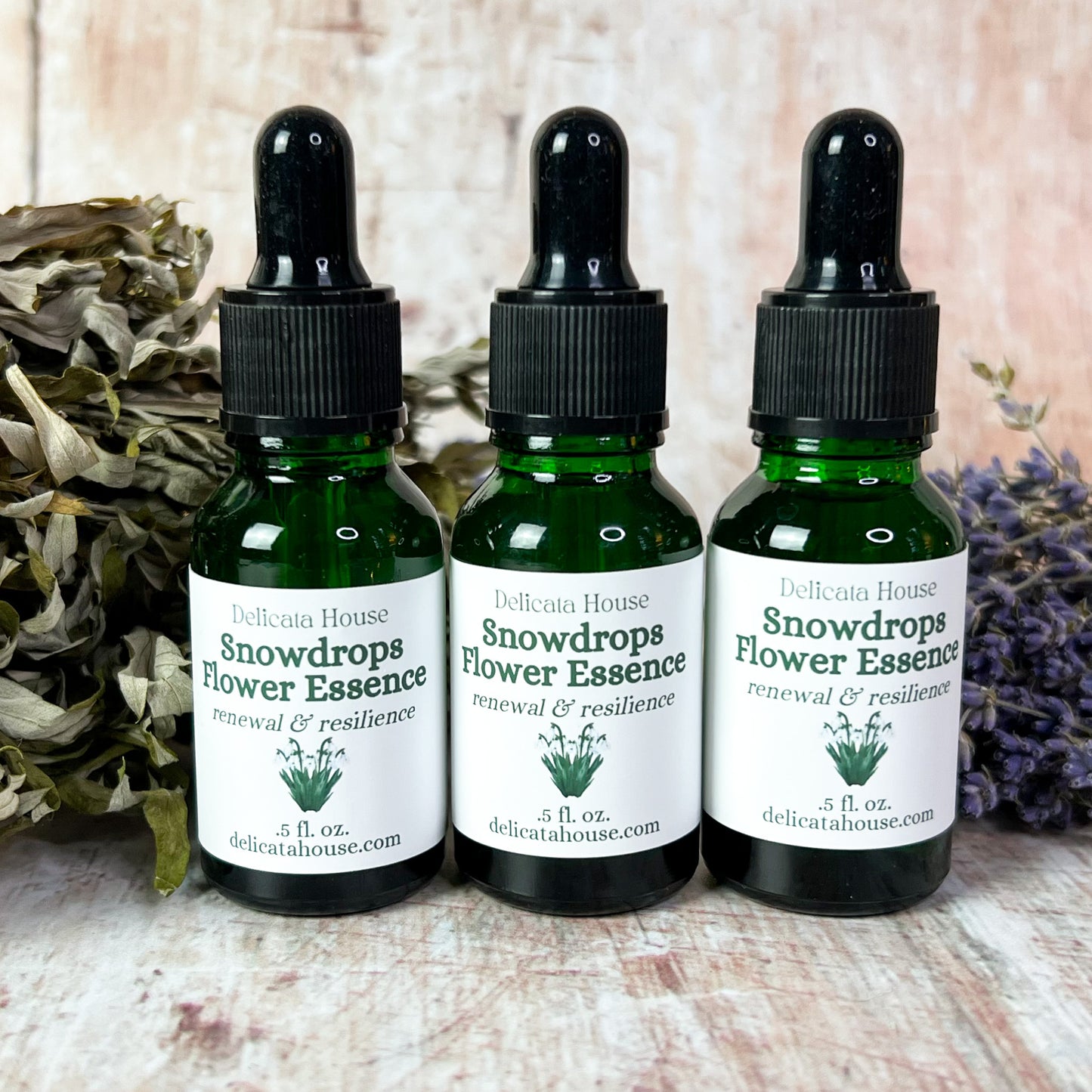 Snowdrops Flower Essence - Imbolc - Brigid's Day - Snowdrops Flower Remedy - Flower Medicine Gift