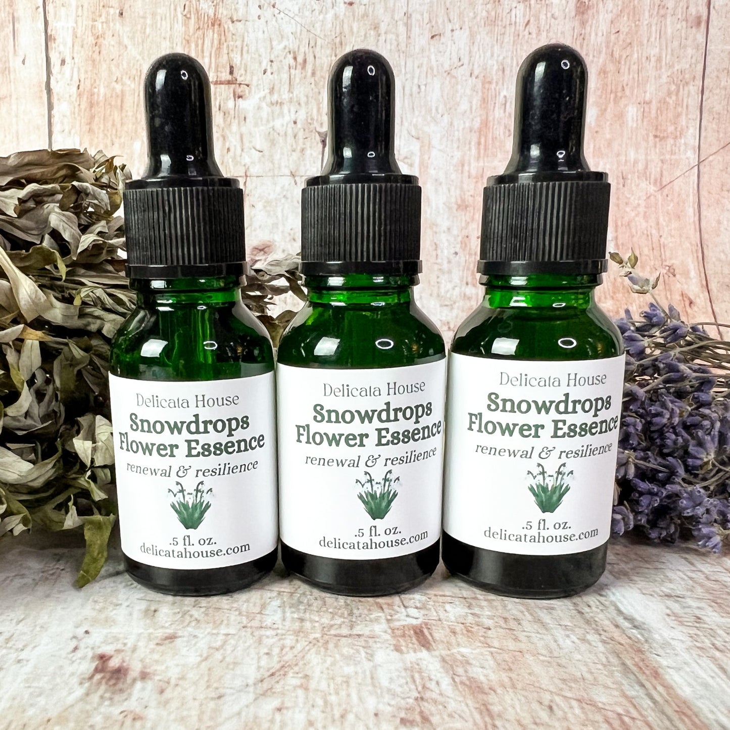 Snowdrops Flower Essence - Imbolc - Brigid's Day - Snowdrops Flower Remedy - Flower Medicine Gift