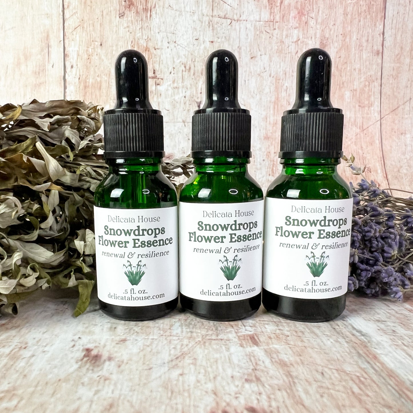 Snowdrops Flower Essence - Imbolc - Brigid's Day - Snowdrops Flower Remedy - Flower Medicine Gift