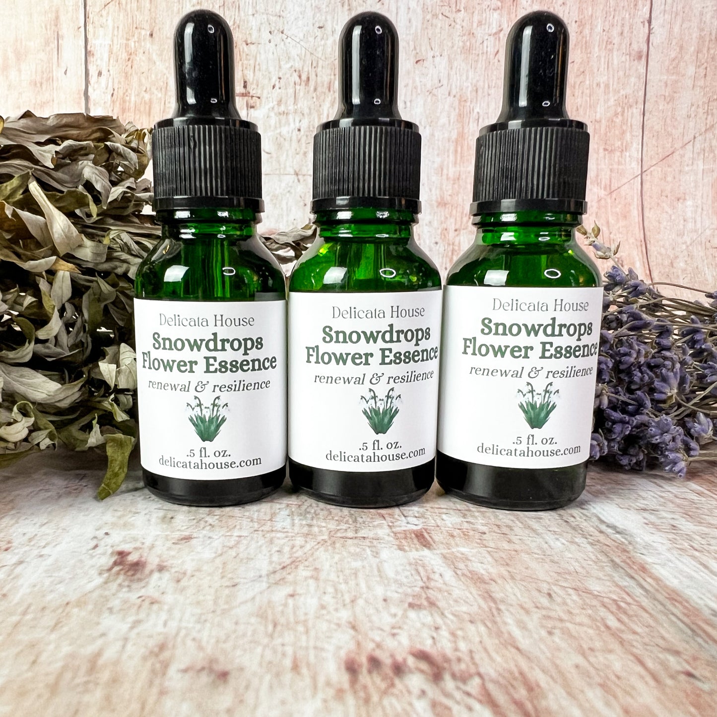 Snowdrops Flower Essence - Imbolc - Brigid's Day - Snowdrops Flower Remedy - Flower Medicine Gift