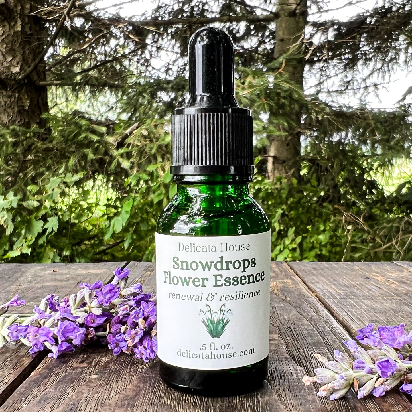 Snowdrops Flower Essence - Imbolc - Brigid's Day - Snowdrops Flower Remedy - Flower Medicine Gift