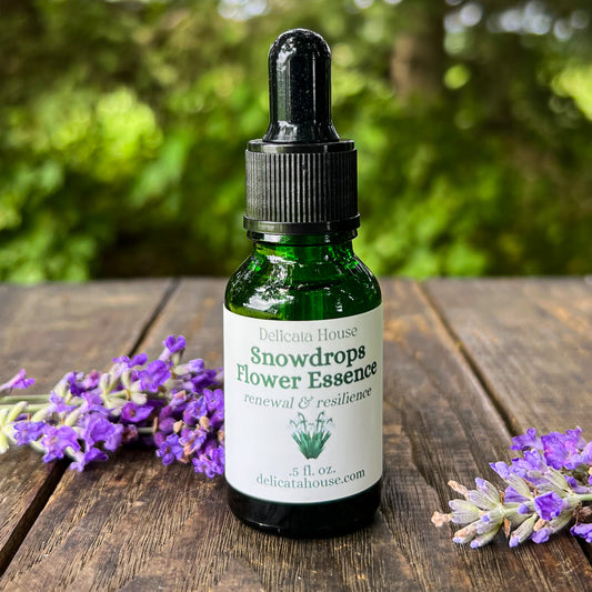 Snowdrops Flower Essence - Imbolc - Brigid's Day - Snowdrops Flower Remedy - Flower Medicine Gift