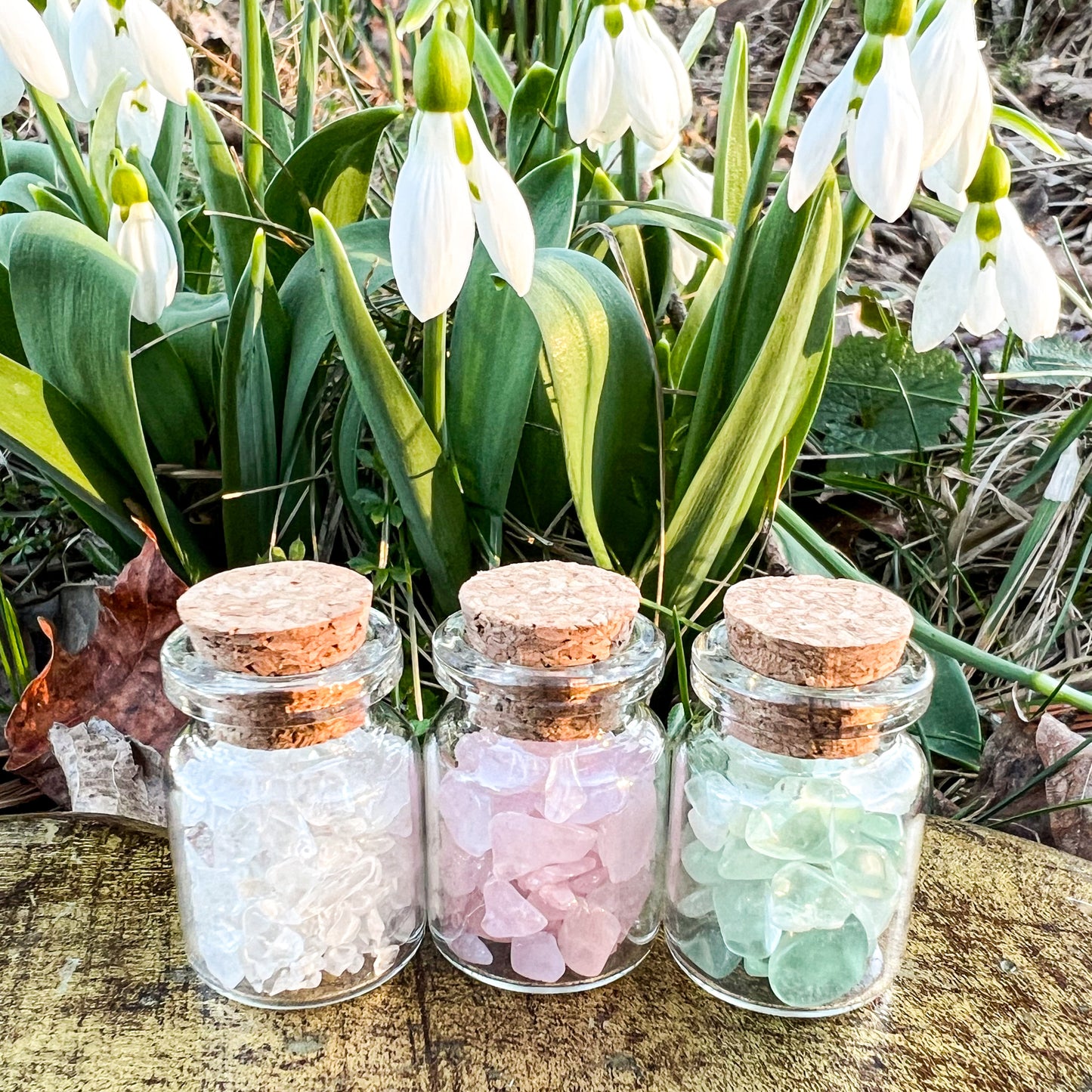 Spring Crystal Wish Jar Trio - Wishing Jars - Rose Quartz, Clear Quartz & Green Fluorite