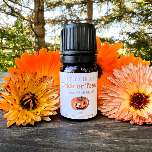 Trick or Treat Aromatherapy Essential Oil Blend - Autumn Diffuser Blend - Fall Diffuser Blend