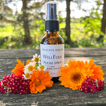 Load image into Gallery viewer, WellFolk Room Spray - Air Purifying Room Spray - Spice and Citrus Room Spray