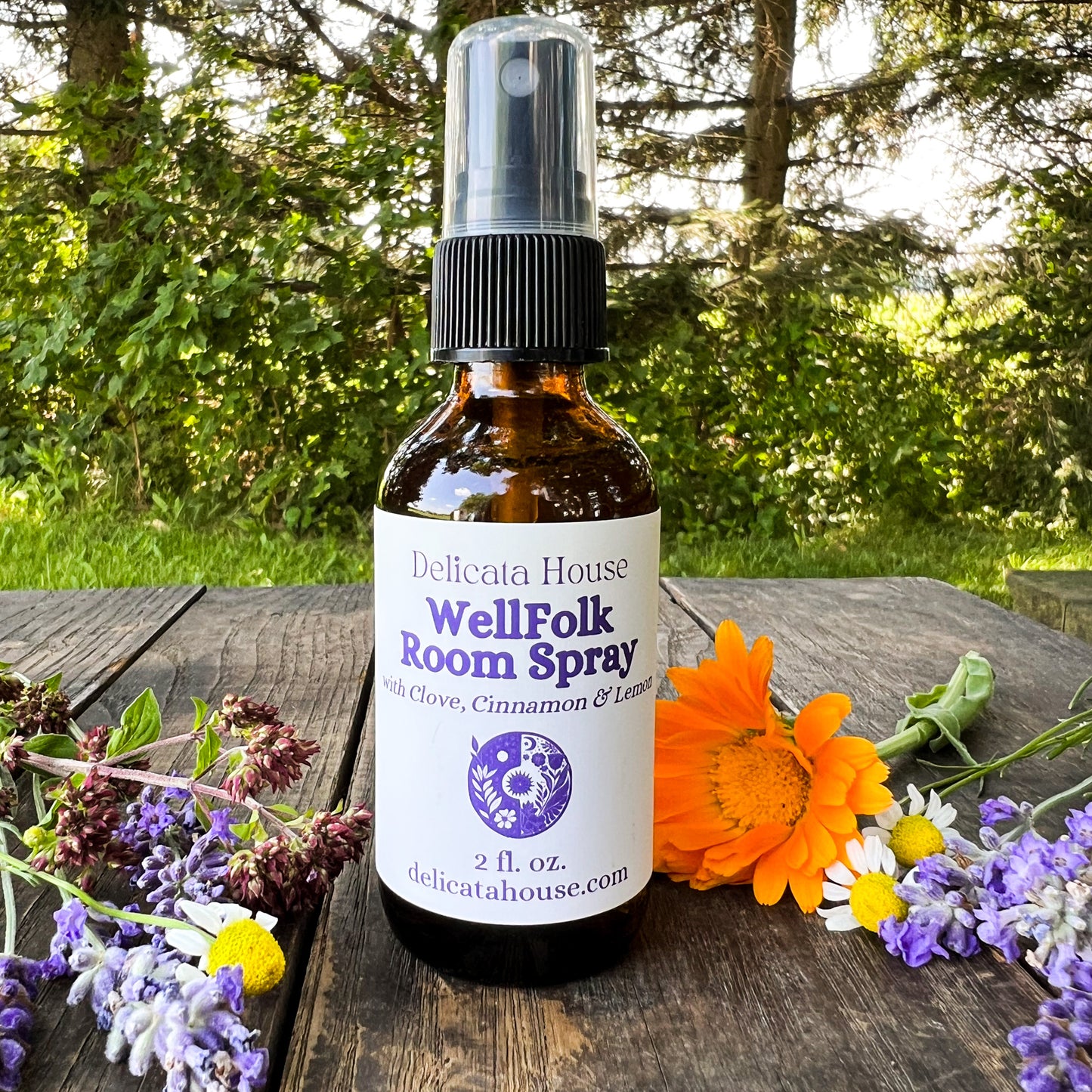WellFolk Room Spray - Air Purifying Room Spray - Spice and Citrus Room Spray