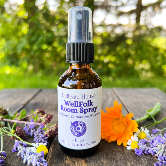 WellFolk Room Spray - Air Purifying Room Spray - Spice and Citrus Room Spray