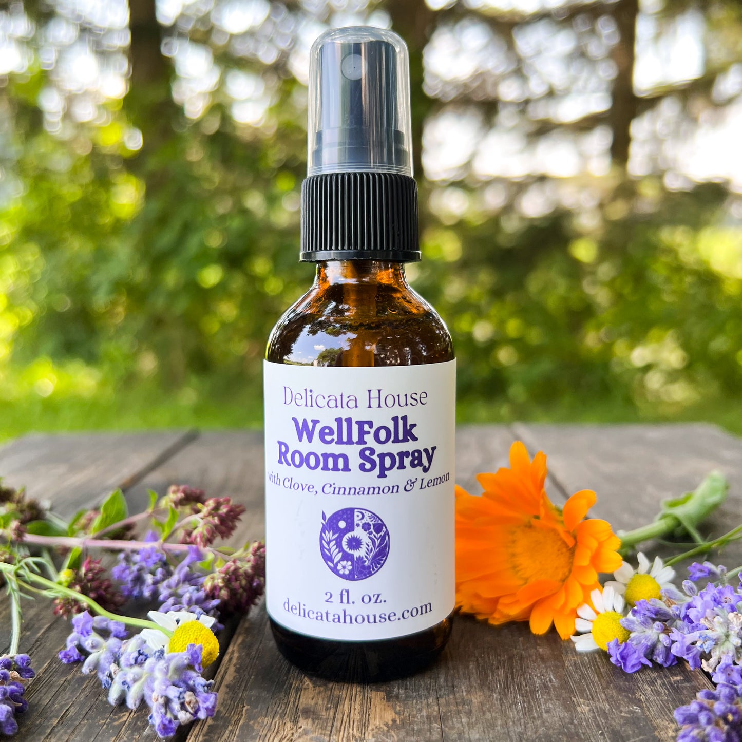 WellFolk Room Spray - Air Purifying Room Spray - Spice and Citrus Room Spray