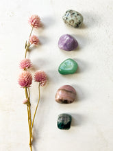 Load image into Gallery viewer, Stones of Rebirth and Renewal Crystals Set - Crystals for Inner Healing - Crystals for Transformation