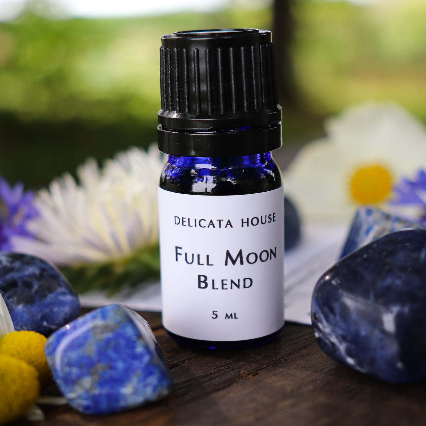 Diffuser Blend - Full Moon Diffuser and Crystals Set - Full Moon Diffuser Blend and Sodalite and Lapis Lazuli crystals - Moon Ritual Set - Moon Aromatherapy - Gift Set for Her - Teen Girl Gift - Friend Gift