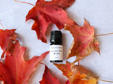 Load image into Gallery viewer, Diffuser Blend - Autumn Spice Diffuser Blend - Autumn Diffuser Blend - Fall Essential Oils Blend - Spicy Autumn Diffuser Blend