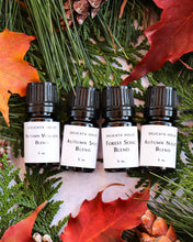 Load image into Gallery viewer, Autumn Aromatherapy Set of Four - Autumn Wellness - Autumn Nights - Autumn Spice - Forest Song - Fall Diffuser Blends for Immune Support