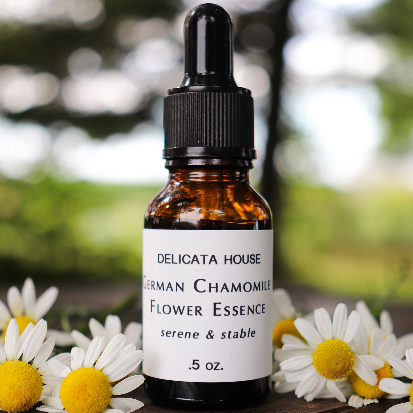 German Chamomile Flower Essence - Flower Essence for Serenity and Stability