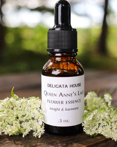 Flower Essences - Queen Anne's Lace Flower Essence - Flower Essence for insight and harmony