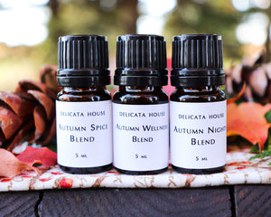 Autumn Aromatherapy Set of Three - Autumn Wellness Blend - Autumn Spice Blend - Autumn Nights Blend - Immune Boost and Respiratory Support