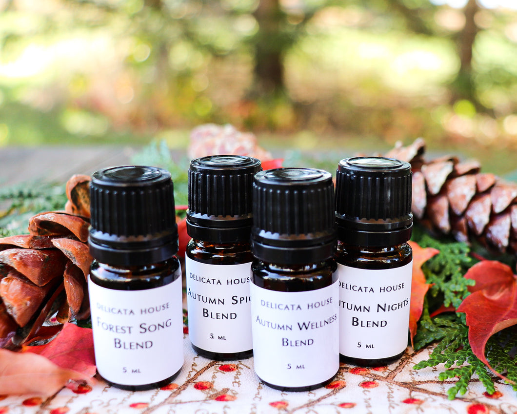 Autumn Aromatherapy Set of Four - Autumn Wellness - Autumn Nights - Autumn Spice - Forest Song - Fall Diffuser Blends for Immune Support
