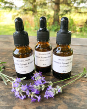Load image into Gallery viewer, Flower Essence - Lavender Flower Essence - Lavender Flower Remedy - Third Eye Chakra Support - Crown Chakra Support - Calming Flower Support