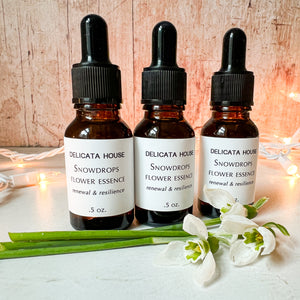 Snowdrops Flower Essence - Imbolc Gift - Snowdrops Flower Remedy - Flower Medicine Gift