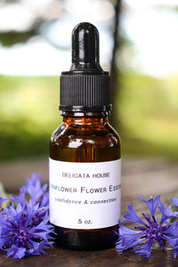 Flower Essence - Cornflower Flower Essence - Cornflower Flower Remedy - Throat Chakra - 5th Chakra Support - Third Eye Chakra - 6th Chakra Support