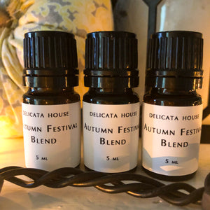 Autumn Festival Aromatherapy Diffuser Blend - Spicy Sweet Festive Aromatherapy - Fall Aromatherapy - Autumn Aromatherapy