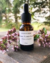 Load image into Gallery viewer, Flower Essence - Oregano Flower Essence - Oregano Flower Remedy - 1st Chakra Support - Root Chakra Support - Oregano Flower Elixir