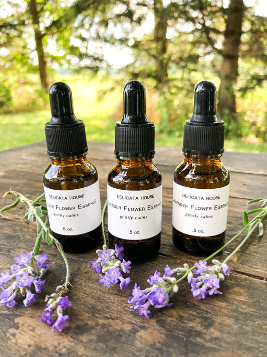 Lavender Flower Essence - Lavender Flower Remedy - Third Eye Chakra Support - Crown Chakra Support - Calming Flower Support