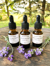 Load image into Gallery viewer, Flower Essence - Lavender Flower Essence - Lavender Flower Remedy - Third Eye Chakra Support - Crown Chakra Support - Calming Flower Support