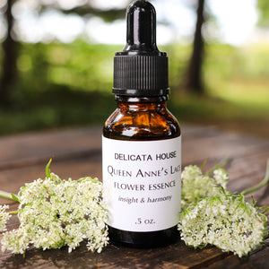 Flower Essences - Queen Anne's Lace Flower Essence - Flower Essence for insight and harmony