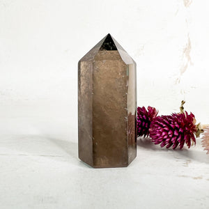Smoky Quartz Point - Smoky Quartz Tower - Smoky Quartz Crystal - Crystal Healing - Root Chakra Healing