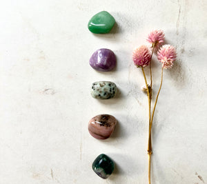 Stones of Rebirth and Renewal Crystals Set - Crystals for Inner Healing - Crystals for Transformation